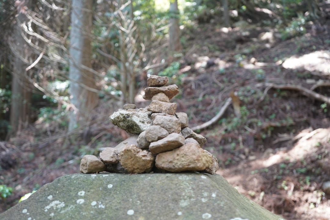 التأريض الروحي: دليلك العملي للمبتدئين — رشا برهان