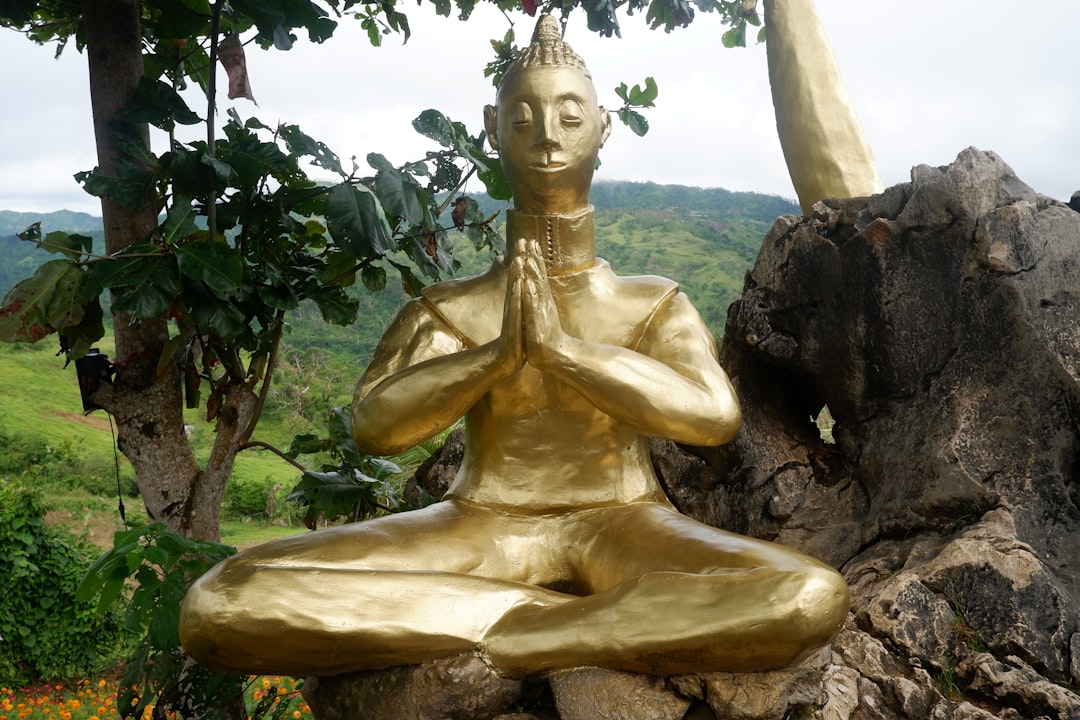 أفضل تمارين اليوغا لرفع مستوى طاقتك — رشا برهان