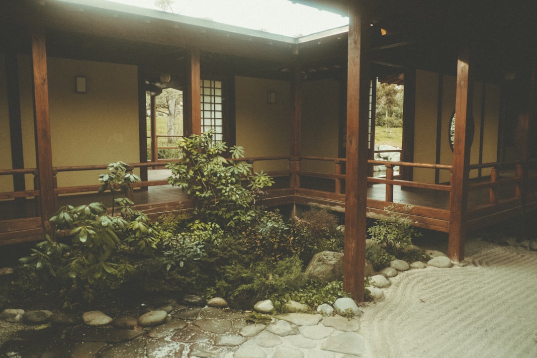 كيف تعيد توازن شاكراتك السبع خطوة بخطوة — رشا برهان