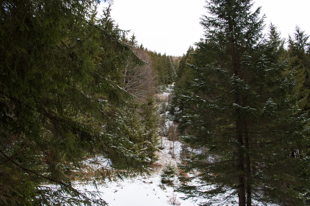 كيف تستخدم طاقة القمر في حياتك اليومية — رشا برهان