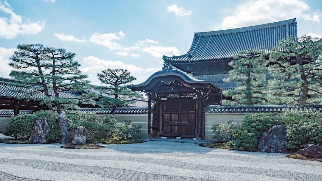 شاكرا الضفيرة الشمسية وسر القوة الداخلية — رشا برهان