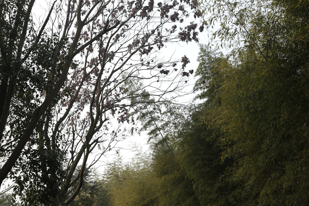 الطاقة الكونية: كيف تتصل بها وتستفيد منها — رشا برهان