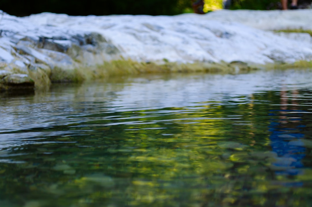 دورات القمر ودورك في النمو الروحي — رشا برهان