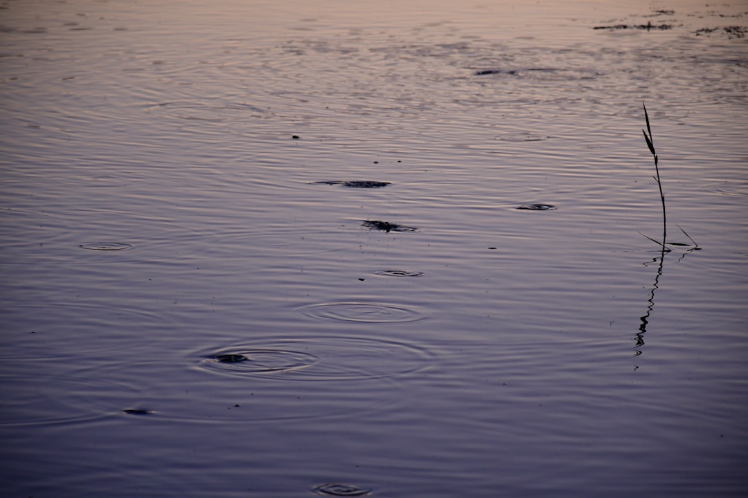 الطاقة في العلاقات الزوجية: كيف تحافظ على الانسجام — رشا برهان
