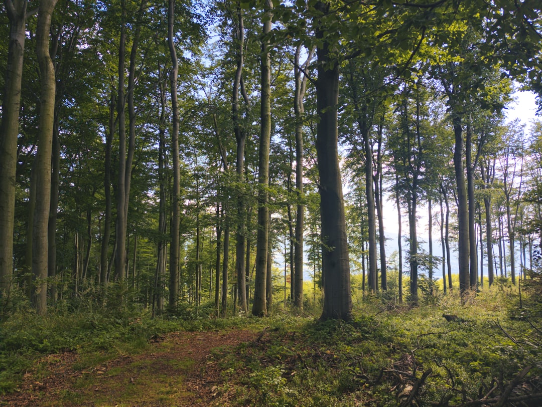 الصلاة كممارسة طاقية: عمق لم تنتبه إليه — رشا برهان